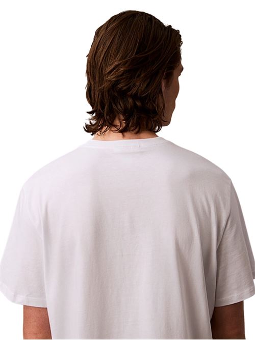 T-shirt in cotone Calvin Klein Jeans | LV04RB862GYAA